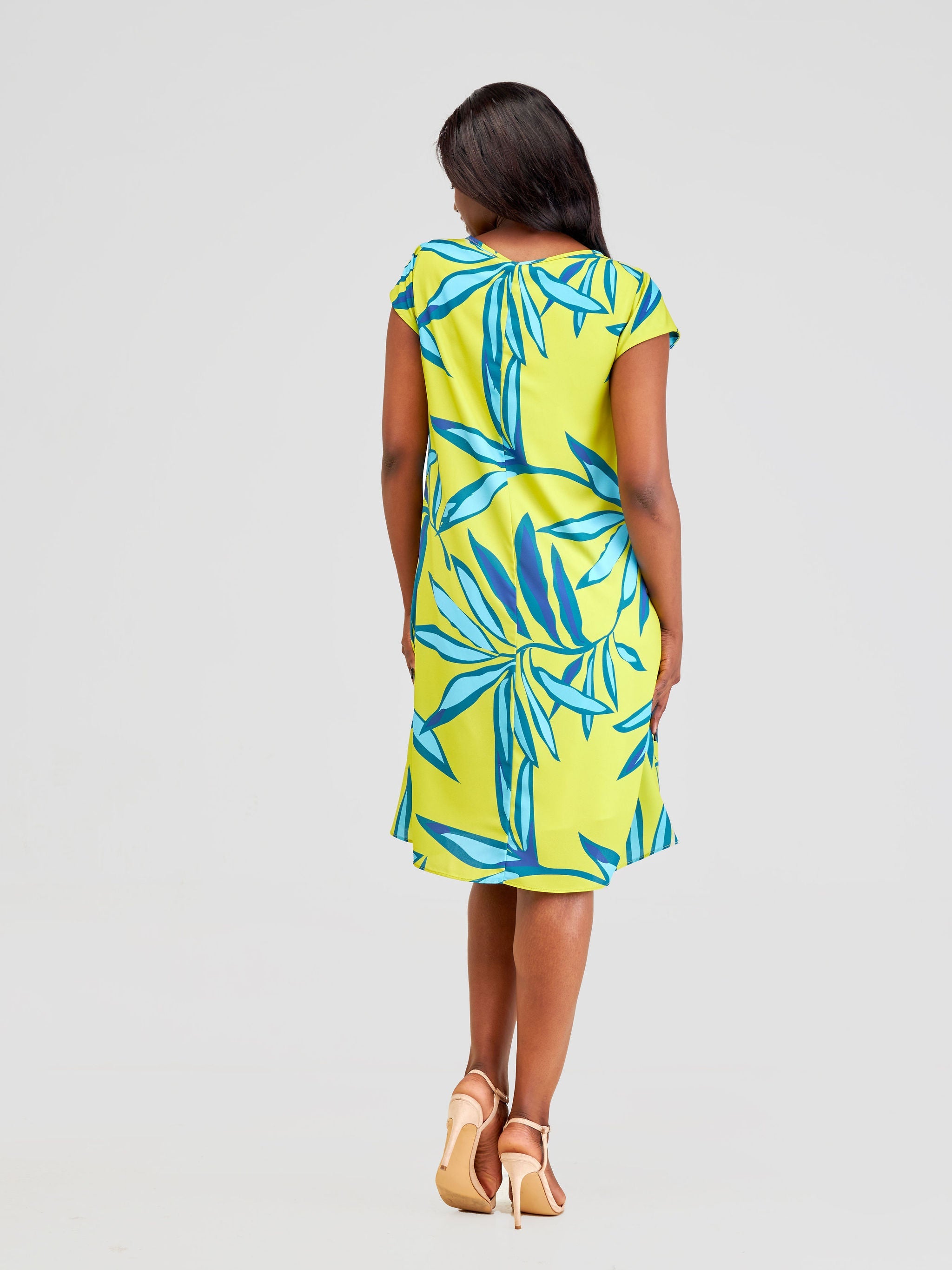 Vivo Sierra Cap Sleeve Tent Chiffon Dress - Lime / Blue Lemi Print